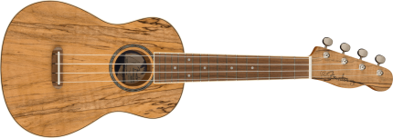 Fender Zuma Exotic Concert Ukulele