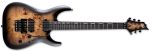 ESP LTD H-1001 FR Black Natural Burst