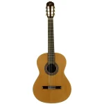 Jose Torres JTC-10 + GigBag JTB-10 - Image 2