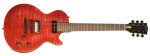 Gibson Les Paul BFG 2007 Used